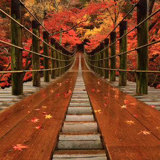 入選　　Yuta Sugiseさんの作品　「秋に包まれて」